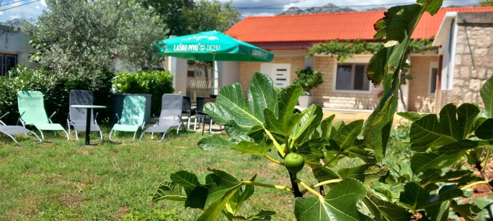 Holiday Home Zeljko,Marija & Jakov Starigrad Paklenica Dış mekan fotoğraf